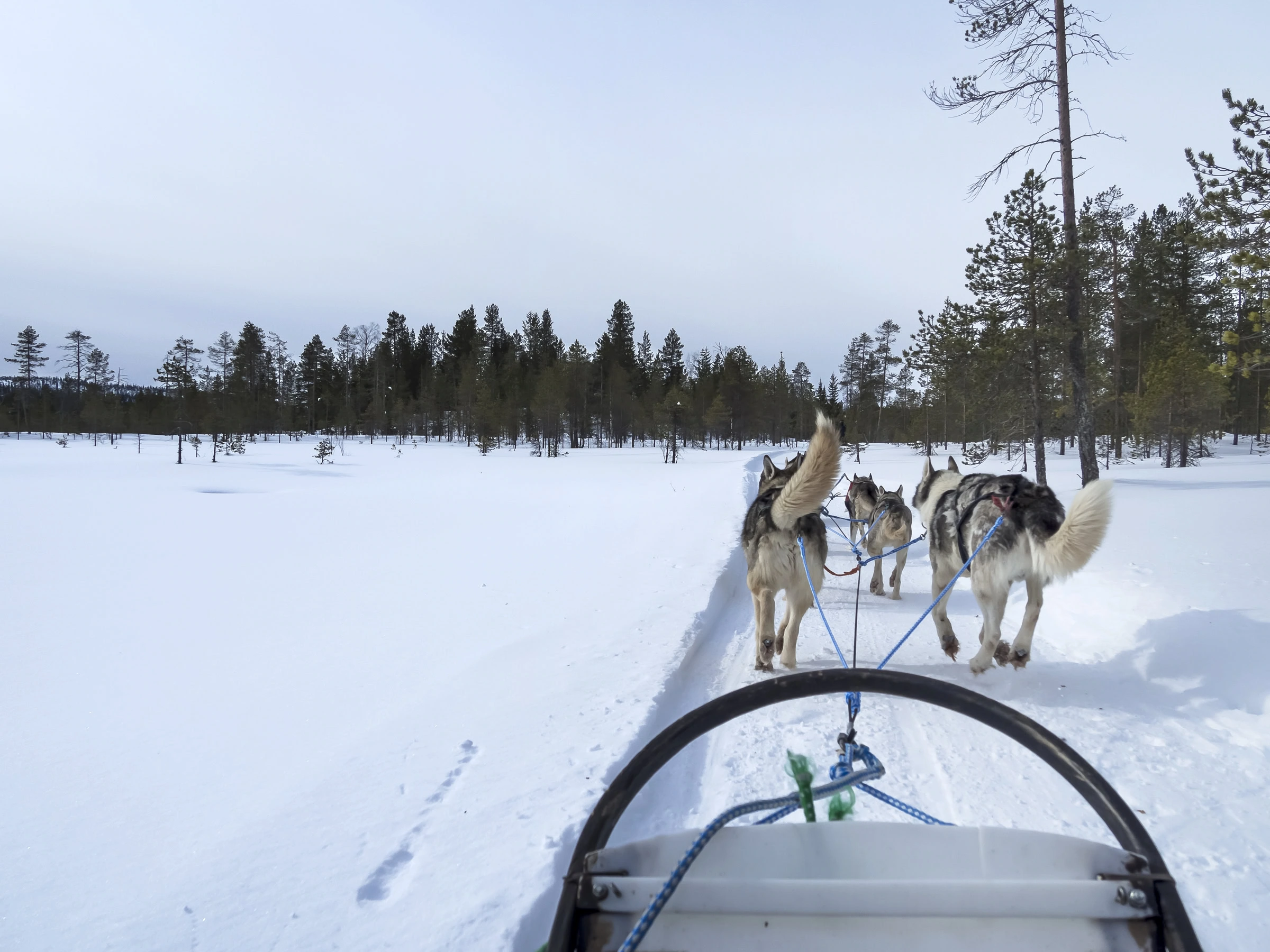 tocca group matkaopas lappi 2